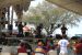2013-03-24, 092, Onion Fest, Weslaco, TX