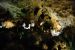 2013-05-06, 019, Carlsbad Caverns, NM