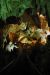 2013-05-06, 104, Carlsbad Caverns, NM