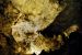 2013-05-06, 107, Carlsbad Caverns, NM