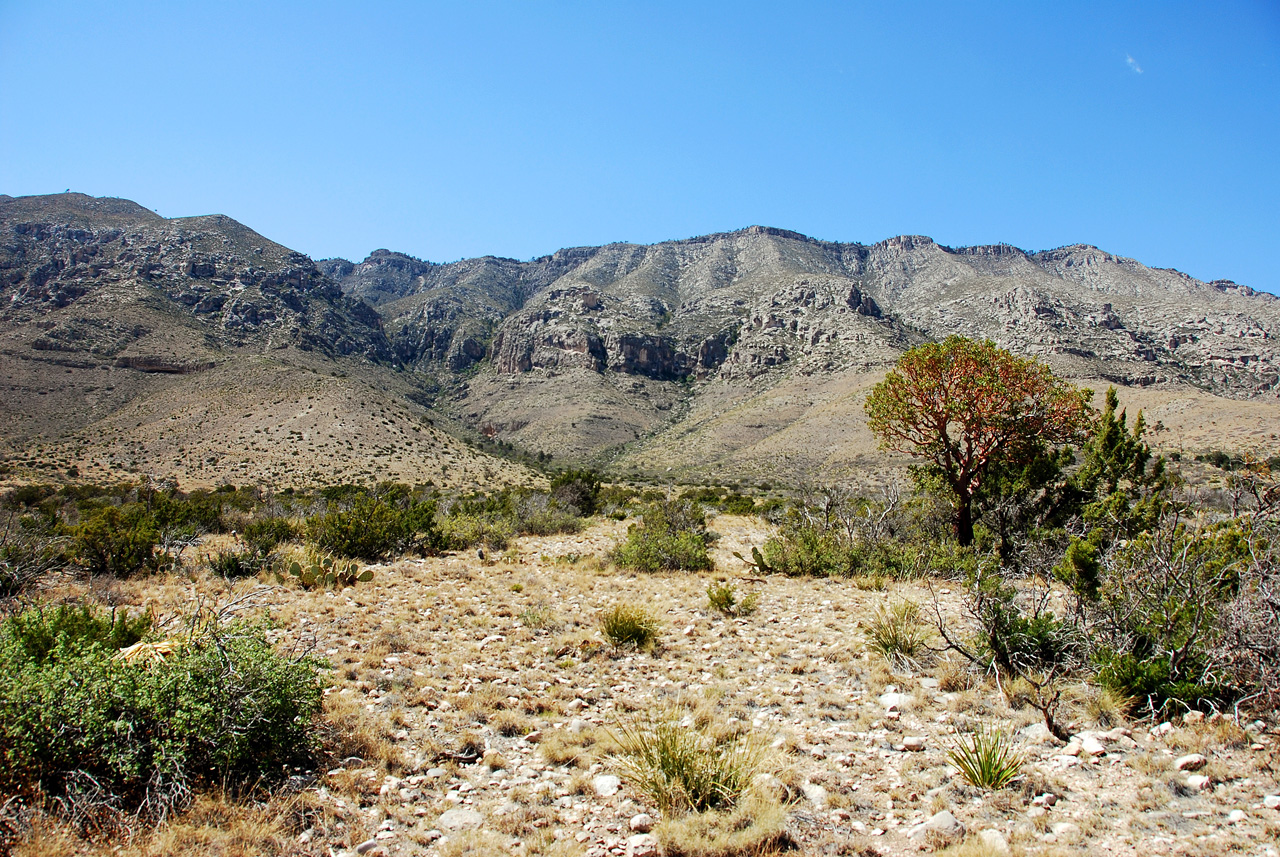 2013-05-05, 013, Frijole Ranch