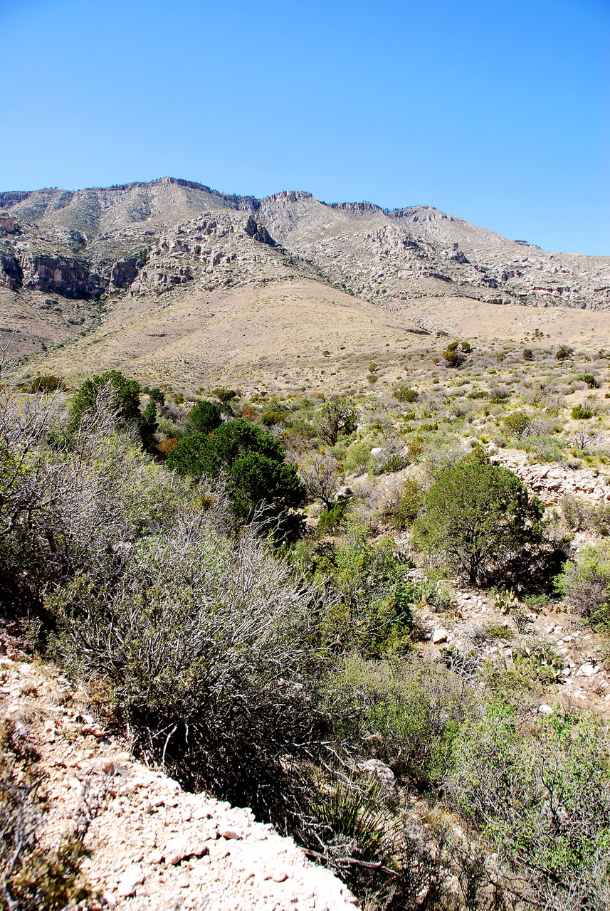2013-05-05, 018, Frijole Ranch
