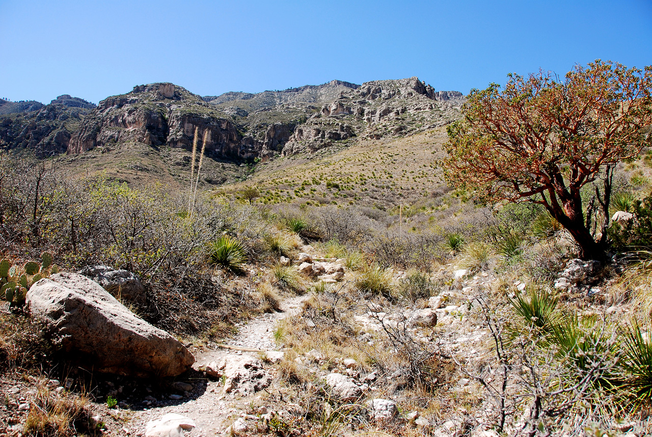 2013-05-05, 024, Frijole Ranch