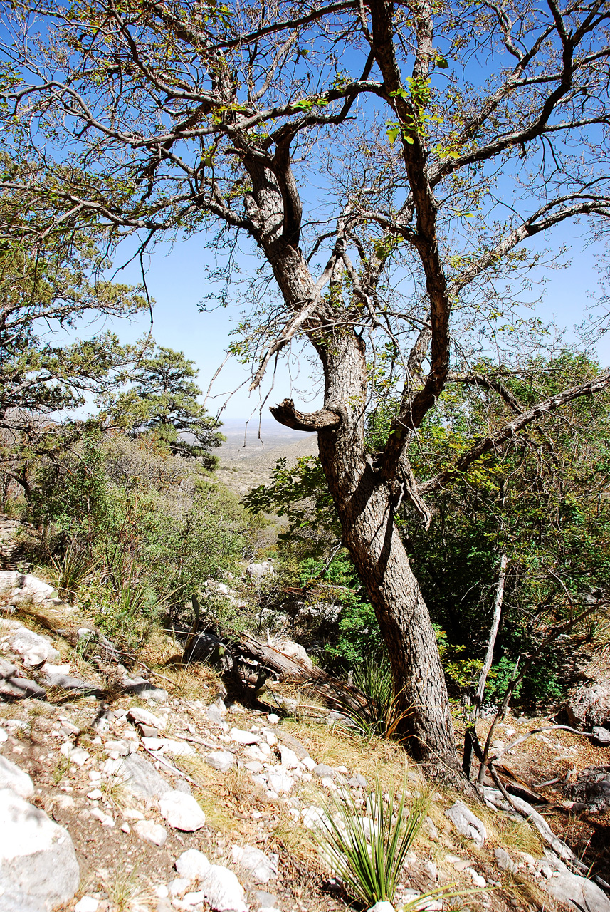 2013-05-05, 030, Frijole Ranch