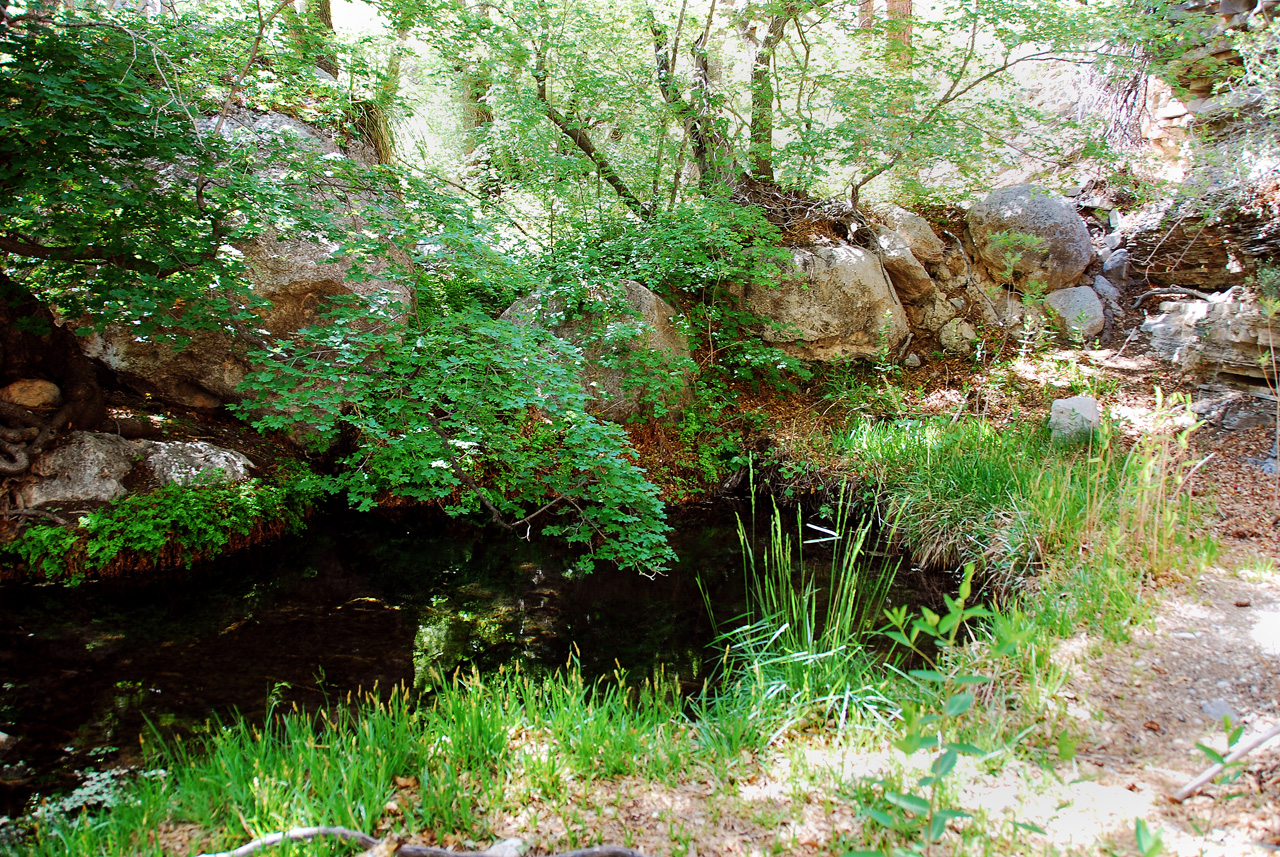 2013-05-05, 032, Frijole Ranch