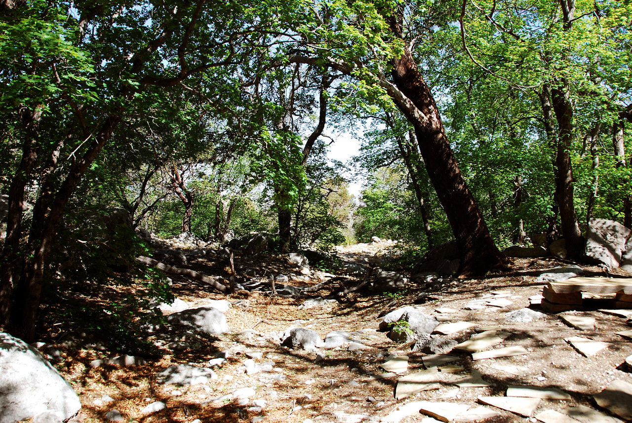 2013-05-05, 033, Frijole Ranch