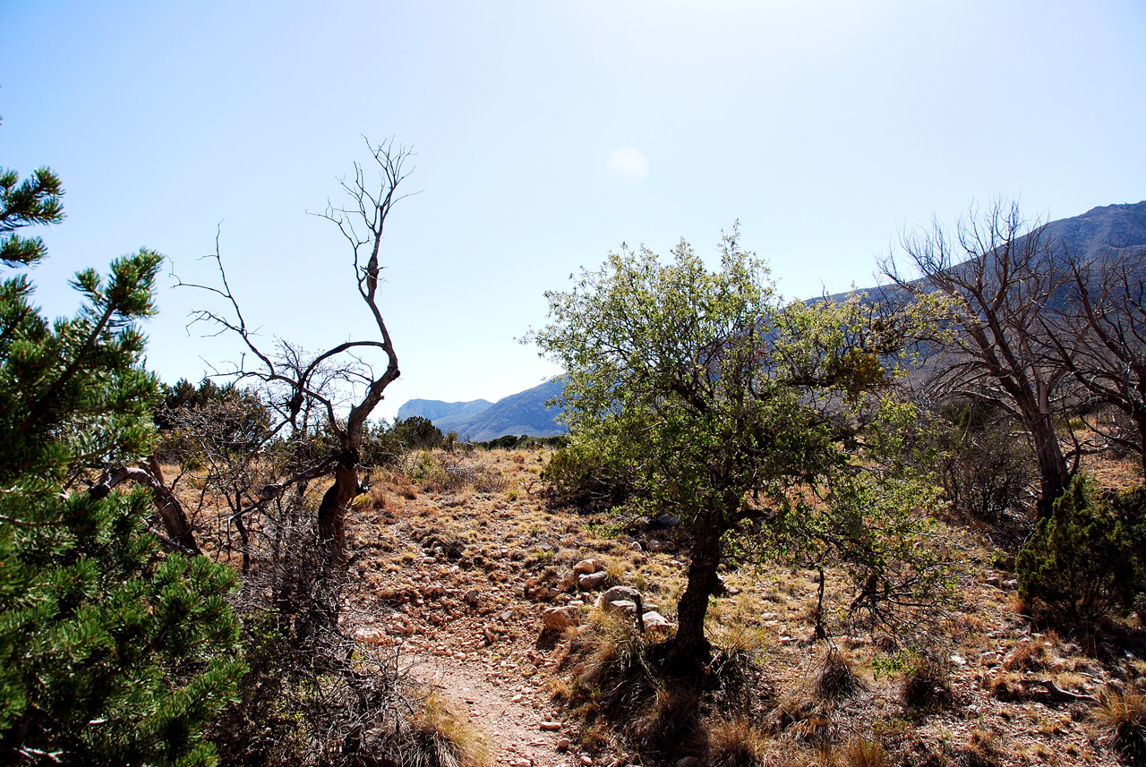 2013-05-05, 054, Frijole Ranch