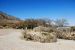 2013-05-05, 004, Frijole Ranch