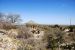 2013-05-05, 005, Frijole Ranch