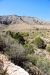 2013-05-05, 018, Frijole Ranch