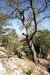 2013-05-05, 030, Frijole Ranch