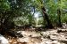 2013-05-05, 033, Frijole Ranch