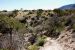2013-05-05, 050, Frijole Ranch