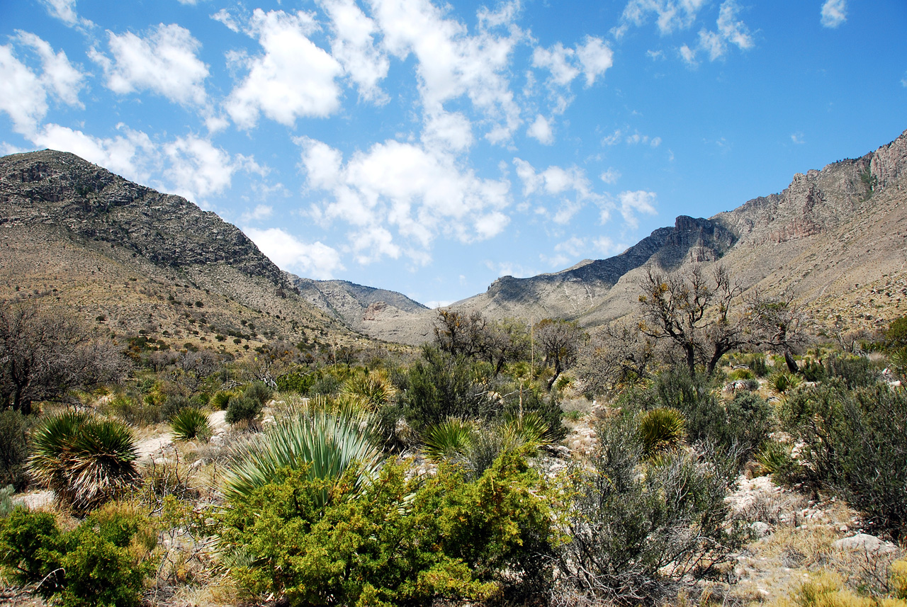 2013-05-05, 007, Guadalupe Mts, TX
