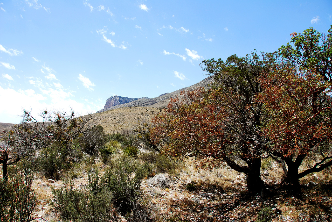 2013-05-05, 012, Guadalupe Mts, TX