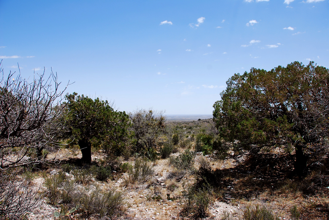 2013-05-05, 013, Guadalupe Mts, TX