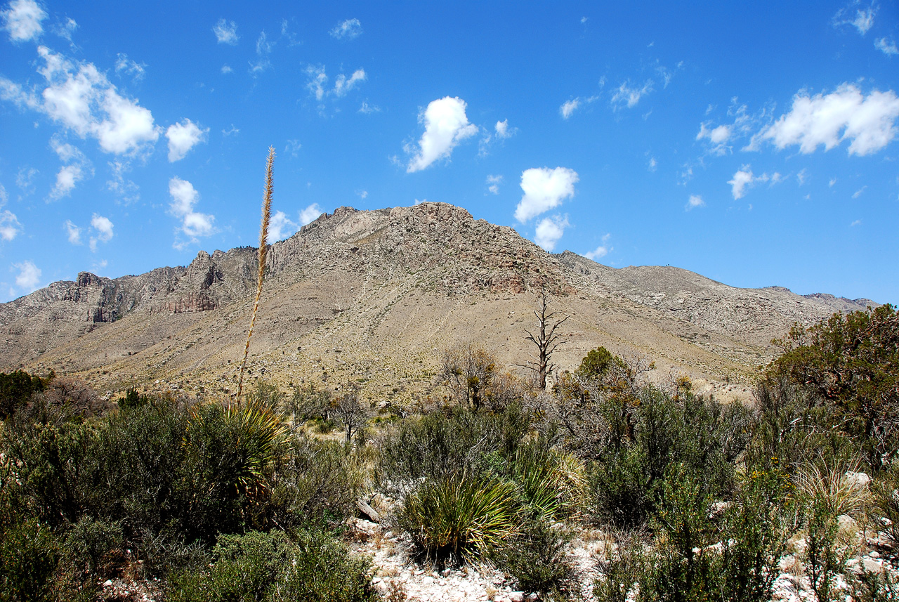 2013-05-05, 015, Guadalupe Mts, TX