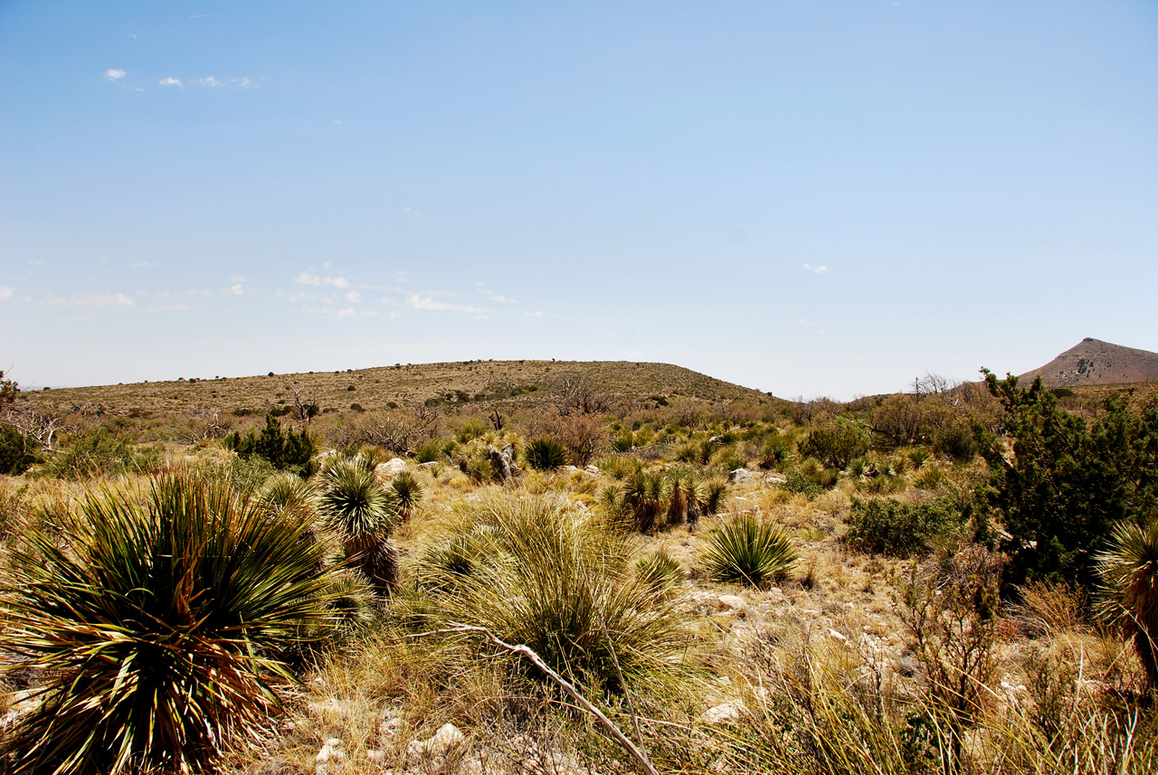 2013-05-05, 016, Guadalupe Mts, TX