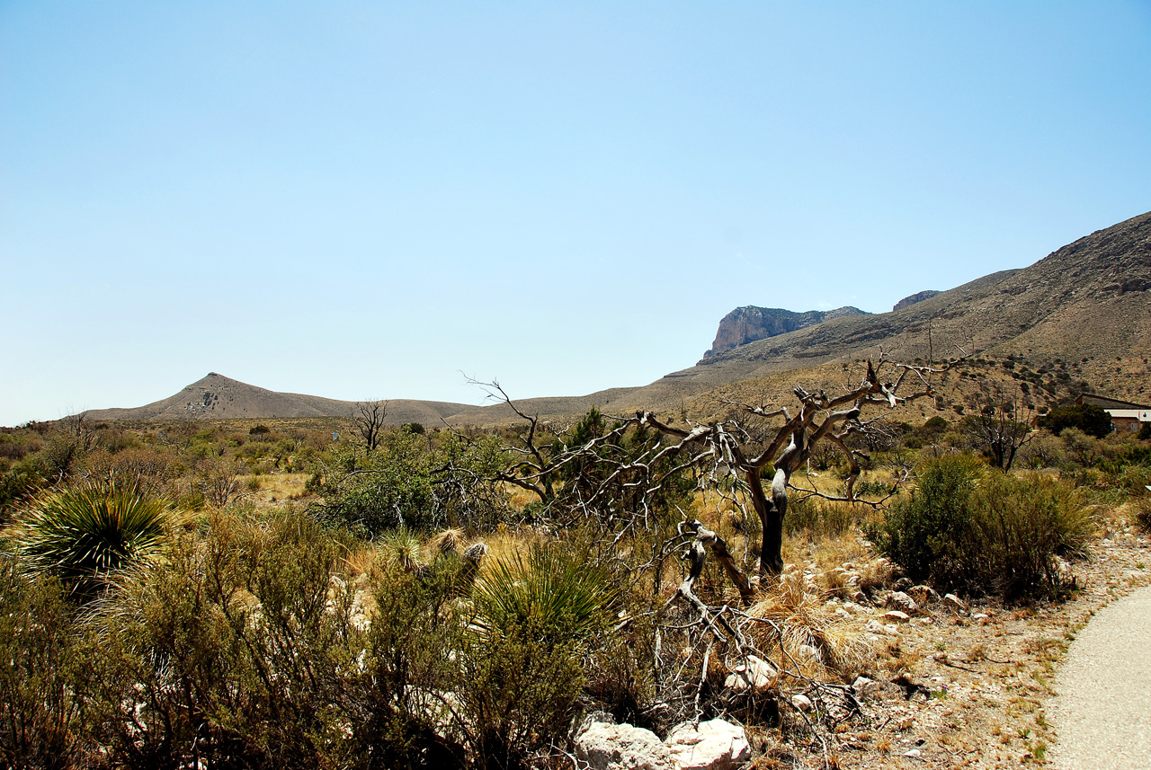 2013-05-05, 020, Guadalupe Mts, TX