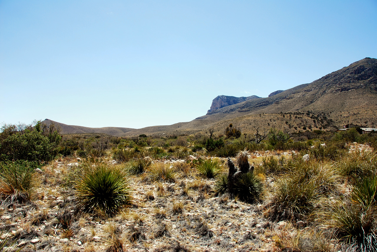 2013-05-05, 022, Guadalupe Mts, TX