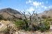 2013-05-05, 009, Guadalupe Mts, TX