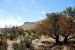 2013-05-05, 012, Guadalupe Mts, TX