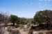 2013-05-05, 013, Guadalupe Mts, TX