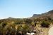 2013-05-05, 020, Guadalupe Mts, TX