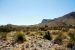 2013-05-05, 022, Guadalupe Mts, TX