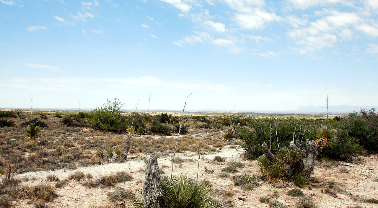 2013-05-04, 005, Along the way, West TX