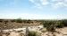 2013-05-04, 005, Along the way, West TX
