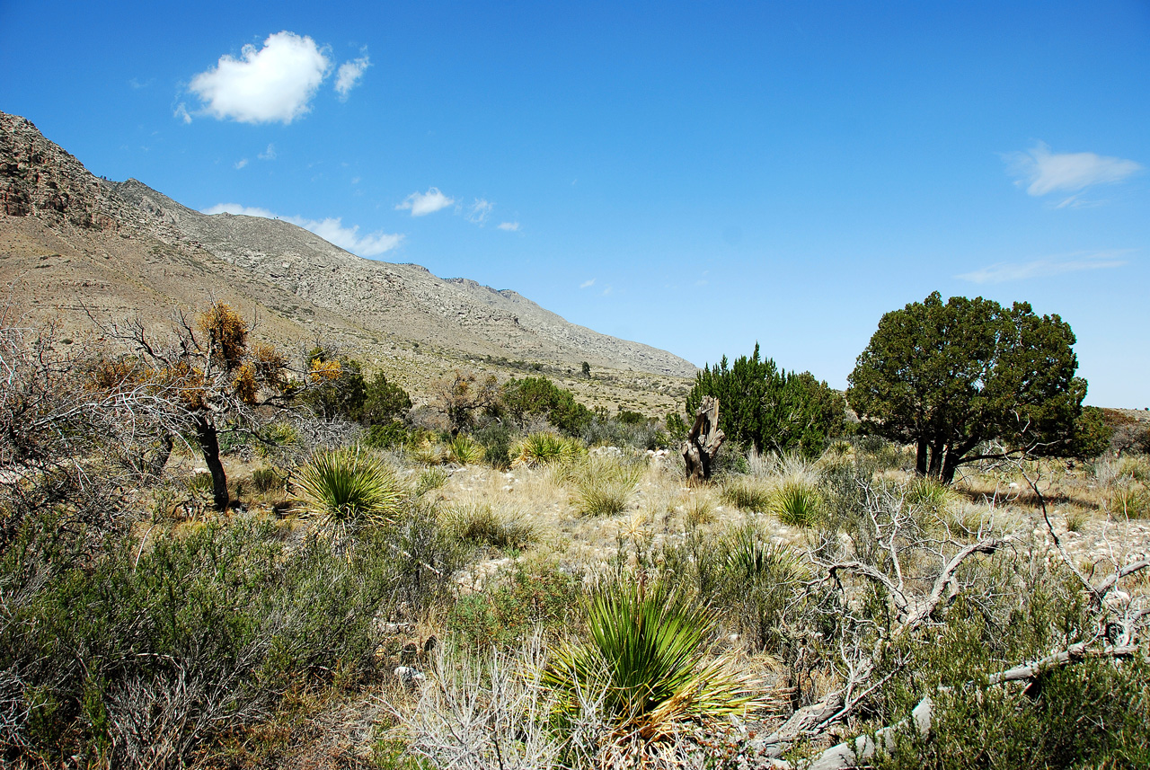 2013-05-05, 003, PineryTrail