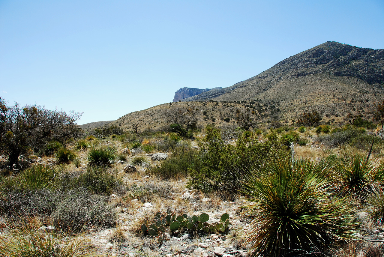 2013-05-05, 004, PineryTrail