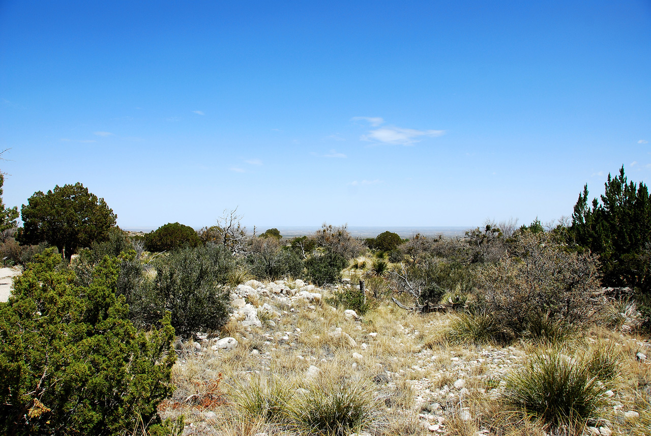 2013-05-05, 006, PineryTrail