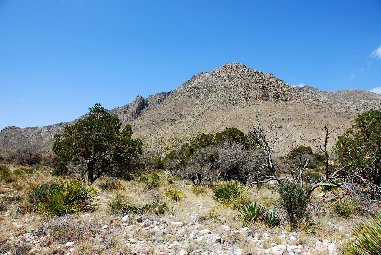 2013-05-05, 007, PineryTrail