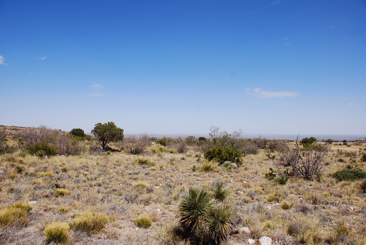 2013-05-05, 012, PineryTrail