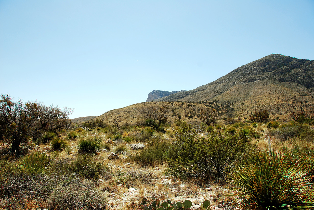 2013-05-05, 015, PineryTrail