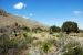 2013-05-05, 003, PineryTrail