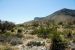 2013-05-05, 004, PineryTrail