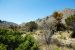 2013-05-05, 005, PineryTrail