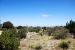2013-05-05, 006, PineryTrail