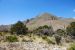 2013-05-05, 007, PineryTrail