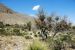2013-05-05, 008, PineryTrail