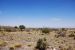 2013-05-05, 012, PineryTrail