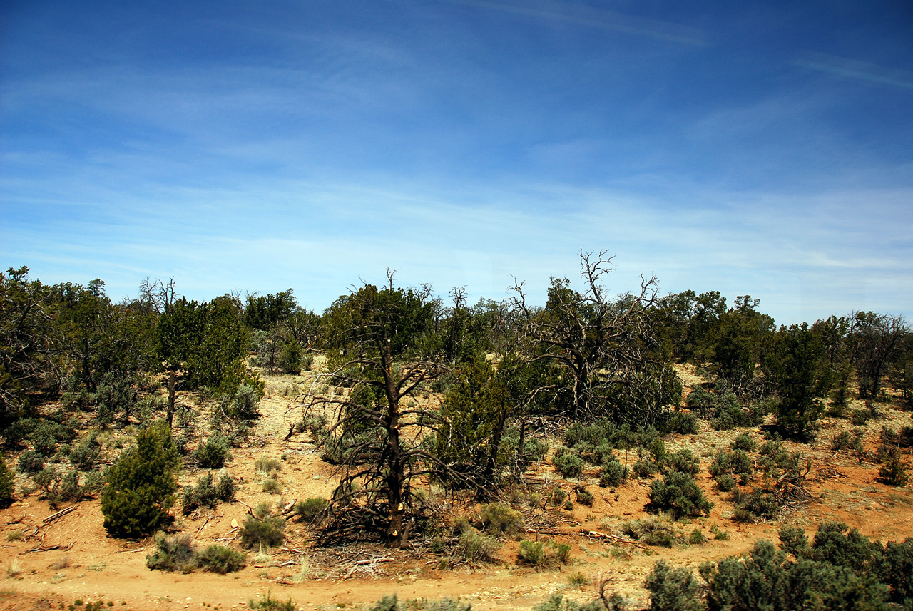 2013-05-13, 032, Grand Canyon Railway