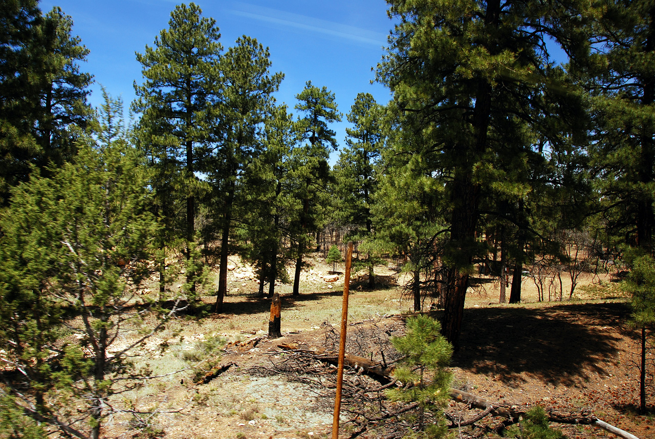 2013-05-13, 035, Grand Canyon Railway