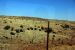 2013-05-13, 027, Grand Canyon Railway
