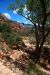 2013-05-10, 008, Slide Rock State Park, Sedona, AZ