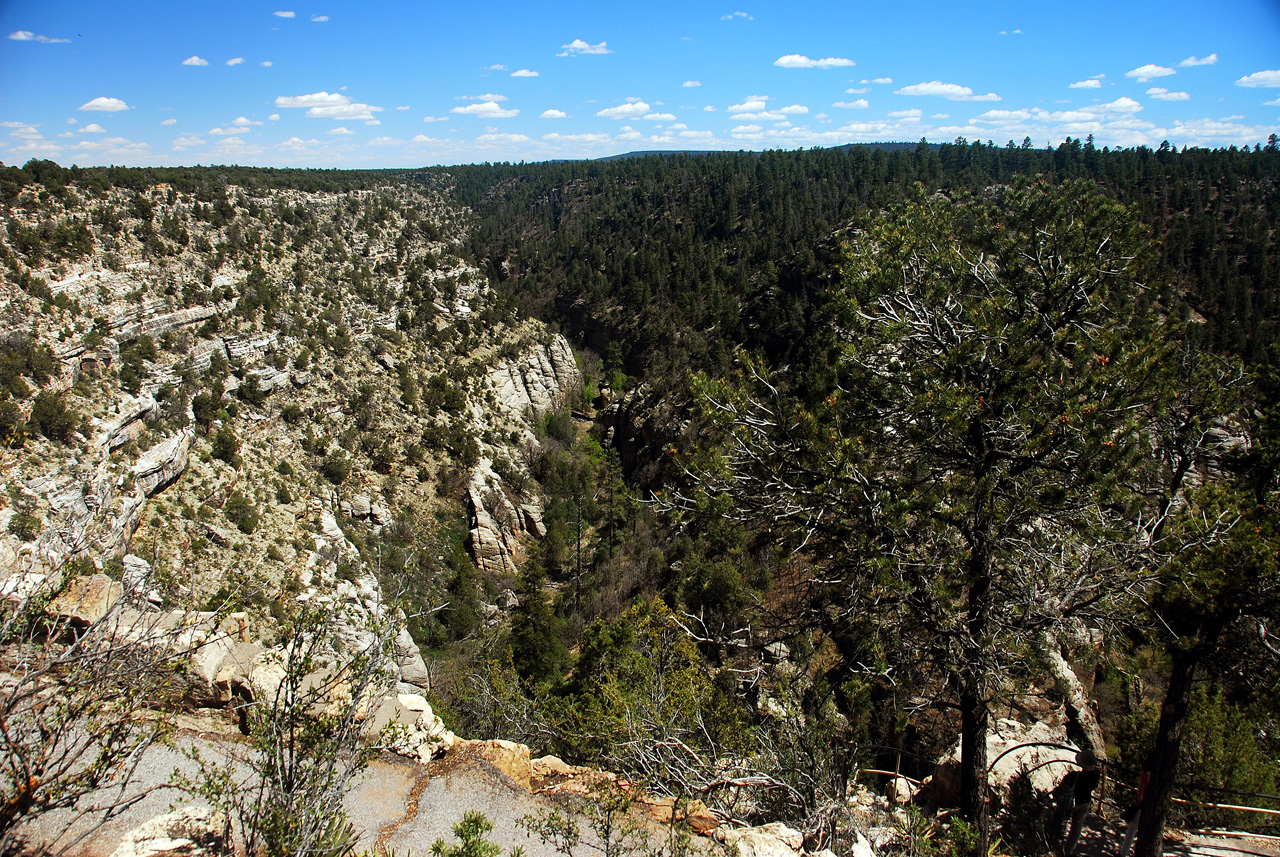 2013-05-12, 003, Walnut Canyon Nat Mon, AZ