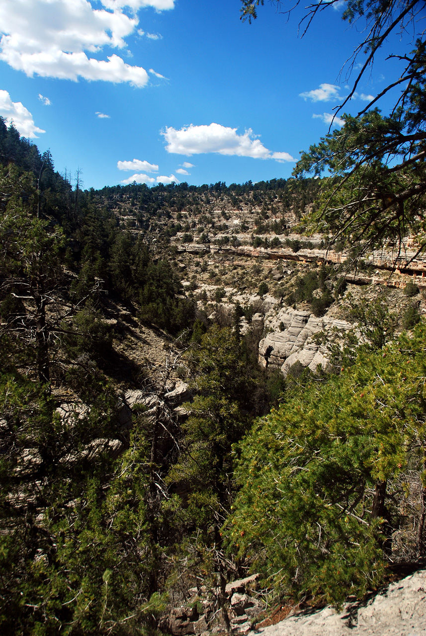 2013-05-12, 031, Walnut Canyon Nat Mon, AZ